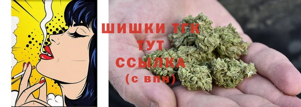 винт Лагань