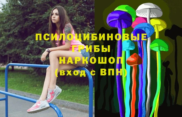 винт Лагань