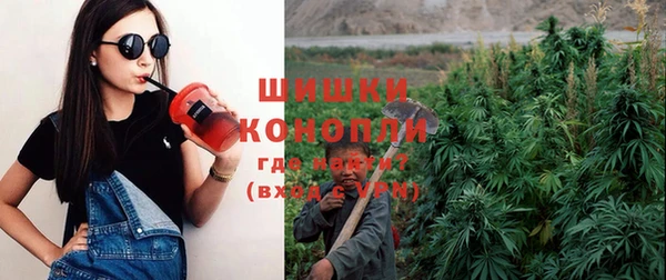 винт Лагань