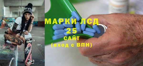 винт Лагань