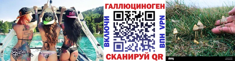 Галлюциногенные грибы GOLDEN TEACHER  Купить где  Ува 