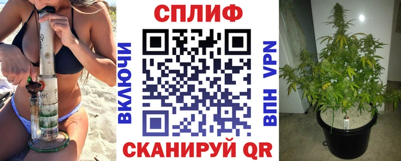 Купить где  Ува  Бошки Шишки семена 